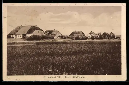 AK Vitte / Hiddensee, Blick auf reetgedeckte Häuser