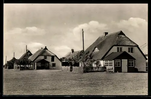 AK Neuendorf /Hiddensee, Fischerhäuser mit Strassenpartie