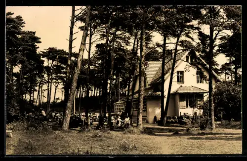AK Hiddensee, Ferienheim Zum Klausner auf dem Dornbusch