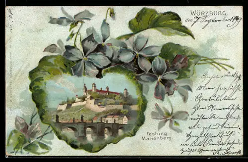 Passepartout-Lithographie Würzburg, Festung Marienberg, Blühende Veilchen