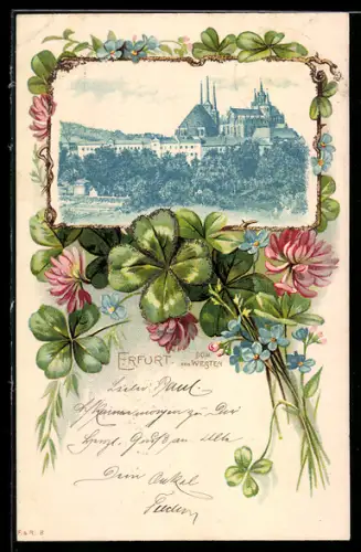 AK Drossen / Osno Lubuskie, Totalansicht königl. Seminar, Blumenrand