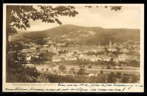 AK Bad Kissingen, Gesamtansicht vom Stationsberg