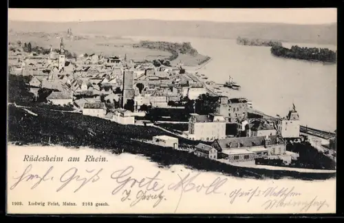 AK Rüdesheim am Rhein, Stadtansicht, Rheinpanorama