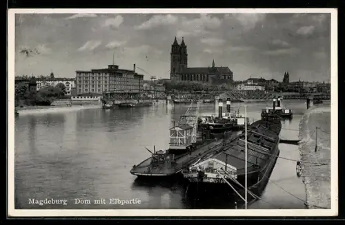 AK Magdeburg, Dom mit Elbpartie