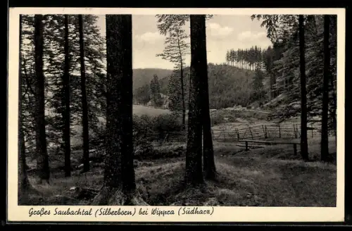 AK Wippra /Südharz, Gr. Saubachtal, Landschaft