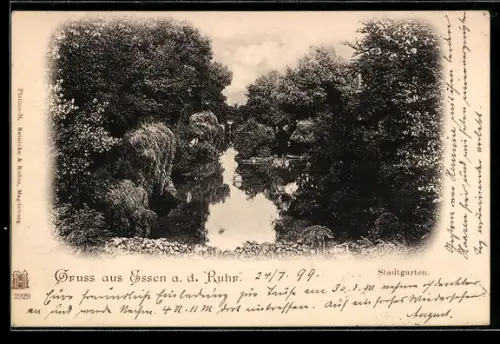 AK Essen a. d. Ruhr, Stadtgarten, Teichpartie