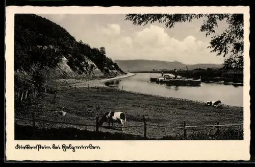 AK Holzminden an der Weser, Kickenstein, Flusslandschaft mit Kuhweide, Dampfer