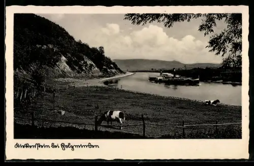 AK Kiekenstein bei Holzminden, Flusslandschaft mit Kuhweide