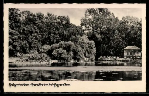AK Holzminden, Partei im Teichgarten