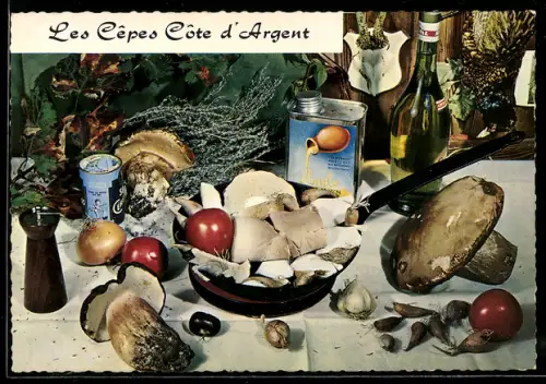 AK Les Cêpes Côte d`Argent, Speise und Rezept