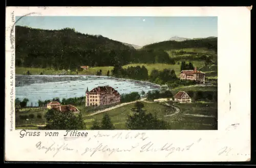 Goldfenster-AK Titisee, Panorama mit Hotel