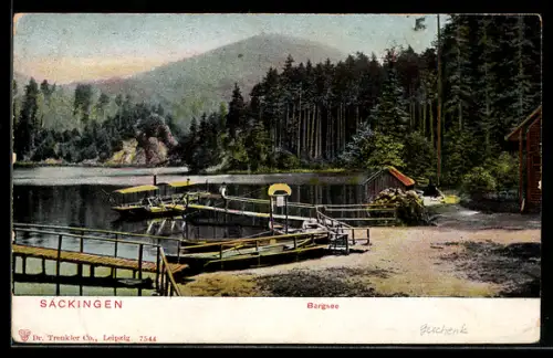 AK Säckingen, Bergsee mit Bootsanleger, Boot, Bootshaus, Blockhütte