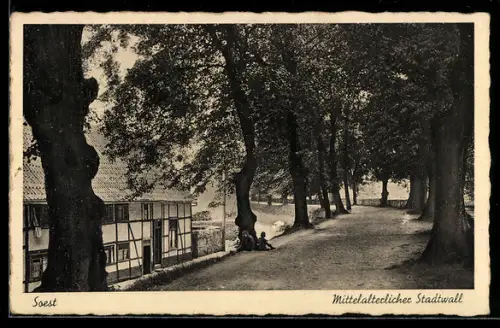 AK Soest, Mittelalterlicher Stadtwall, Allee, Fachwerkhaus