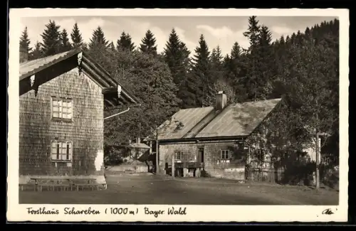 AK Schareben /Bayer. Wald, Forsthaus Schareben