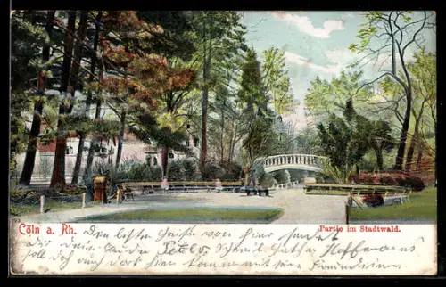AK Köln-Lindenthal, Partie im Stadtwald