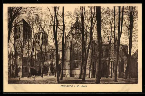 AK Münster i. W., Dom