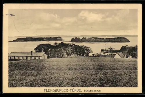 AK Flensburg, Flensburger-Förde, Ochseninseln