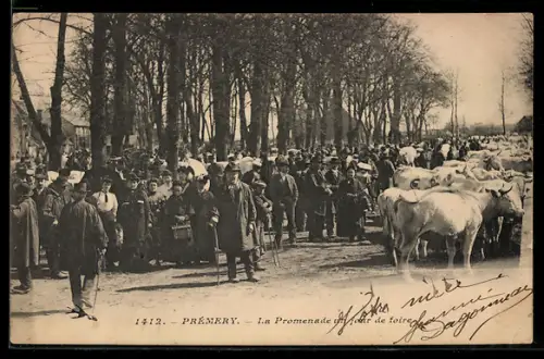 AK Prémery, La Promenade et place de foire