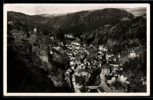 AK Berneck i. Fichtelgebirge, Gesamtansicht, Kneippbad