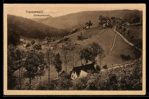 AK Schwarzenstein /Frankenwald, Ortsansicht