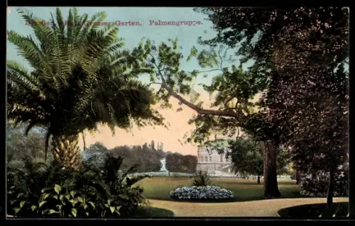 AK Dresden, Grosser Garten, Palmengruppe