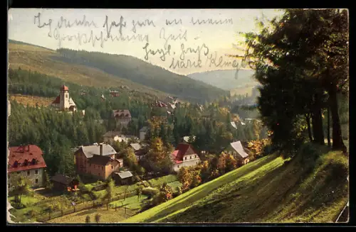 AK Kipsdorf im sächs. Erzgeb., Blick von Ober-Kipsdorf n. Tal Kipsdorf, Hotel Schweizerhof