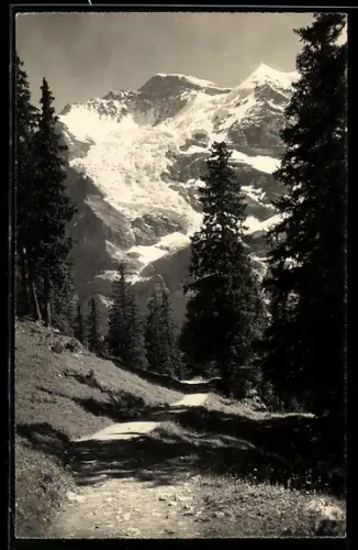Foto-AK Emanuel Gyger: Wengen, Weg nach Mettlenalp mit Jungfrau