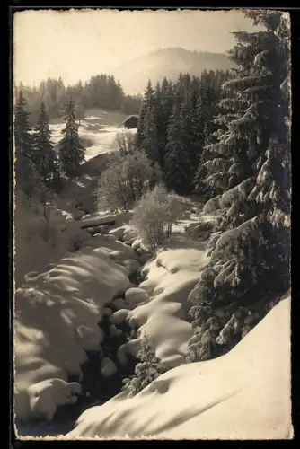 Foto-AK Emanuel Gyger: Waldlandschaft im Winter
