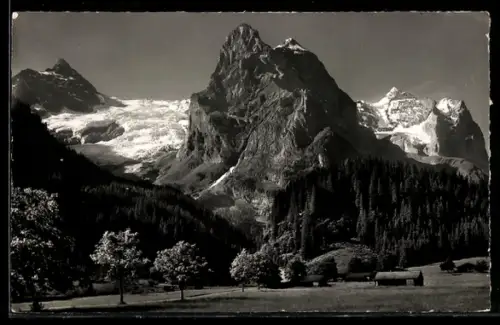 Foto-AK Emanuel Gyger: Rosenlaui, Dossenhorn, Rosenauigletscher, Wellhorn und Wetterhorn