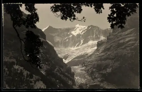 Foto-AK Emanuel Gyger: Grindelwald, Blick vom Terrassenweg auf Fiescherwand