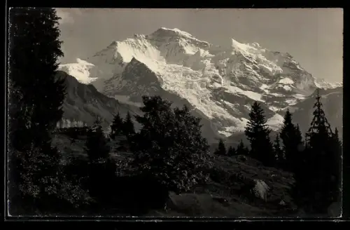 Foto-AK Emanuel Gyger: Wengen, Panorama mit Jungfrau
