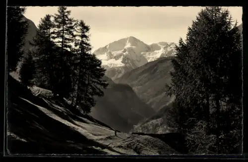 Foto-AK Emanuel Gyger: La Sage /Val d`Hérens, Paysage, Pigno d`Arolla