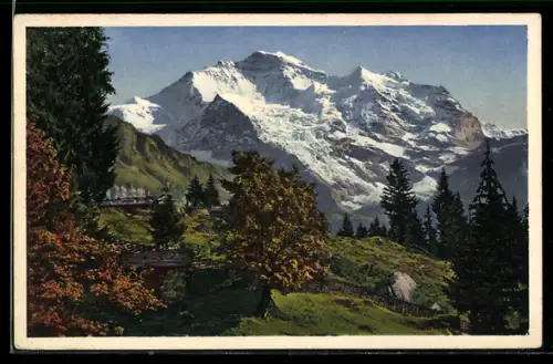 Foto-AK Emanuel Gyger: Wengen, Jungfrau