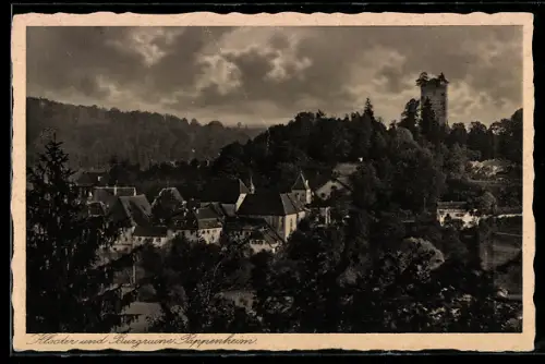 AK Pappenheim, Kloster u. Burgruine