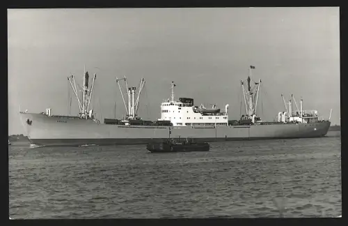 Fotografie Schwedisches Frachtschiff Astrid bei Einfahrt in den Hafen, 1967