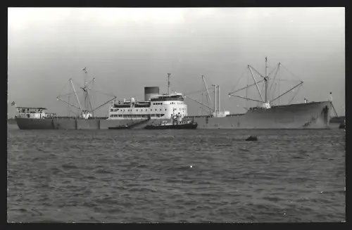 Fotografie Australisches Frachtschiff Boogabilla in Seitenansicht mit Schlepper längsseits