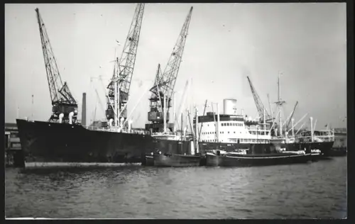 Fotografie Schwedisches Frachtschiff Nippon im Hafen festgemacht mit Gütermotorschiffen längsseits