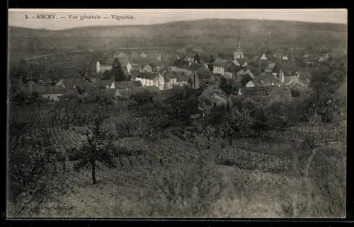 AK Ancey, Vue générale, Vignoble