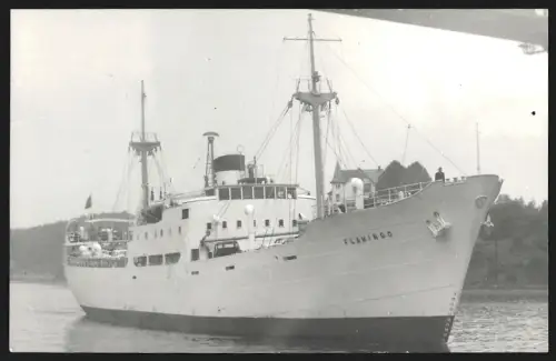 Fotografie Schwedisches Frachtschiff Flamingo in Ballast bei Passieren einer Brücke