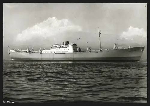 Fotografie Frachtschiff Silver Gate auf See