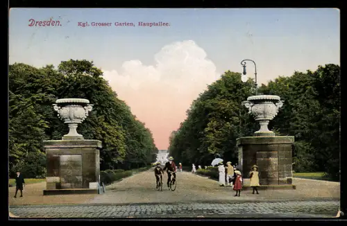 AK Dresden, Kgl. Grosser Garten, Hauptallee