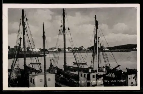 AK Vitte auf Hiddensee, Blick vom Hafen