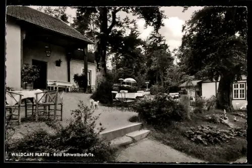 AK Bad Schwalbach /Ts., Waldcafé Platte, Terrasse, Gartenansicht, Bes. Rosek