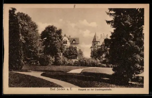 AK Bad Soden a. T., Neupark an der Cronbergerstrasse