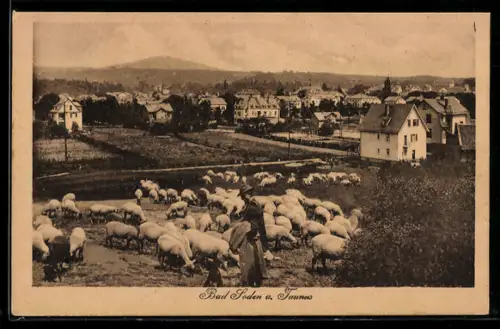 AK Bad Soden a. Taunus, Schäfer mit Schafherde, Ortsansicht