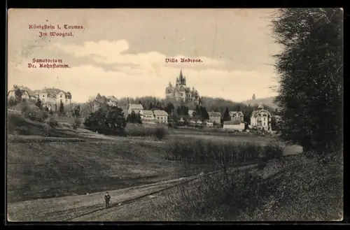 AK Königstein i. Taunus, Sanatorium Dr. Kohnstamm, Villa Andreae, Woogtal
