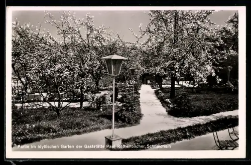 AK Schneidhain /Ts., Garten der Gaststätte Paul Rothenbächer