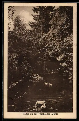 AK Forsbach, Partie an der Forsbacher Mühle