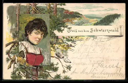 AK Schwarzwald, dunkelhaarige Maid und Landschaft