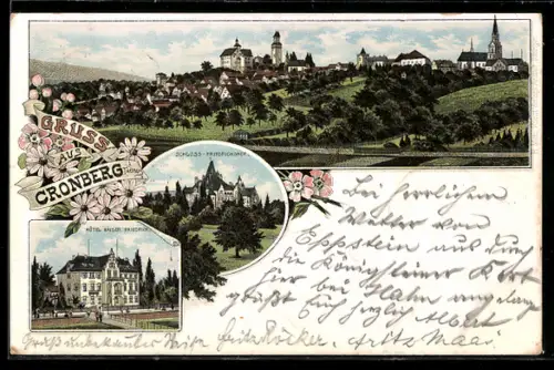 Lithographie Cronberg i. Taunus, Hotel Kaiser Friedrich, Schloss-Friedrichshof, Teilansicht